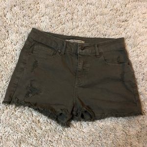 American Rag fringe high rise shorts